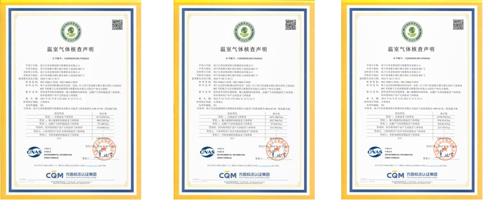 揚子江藥業集團四川海蓉藥業有限公司2021年-2024年碳排放核查數據公示